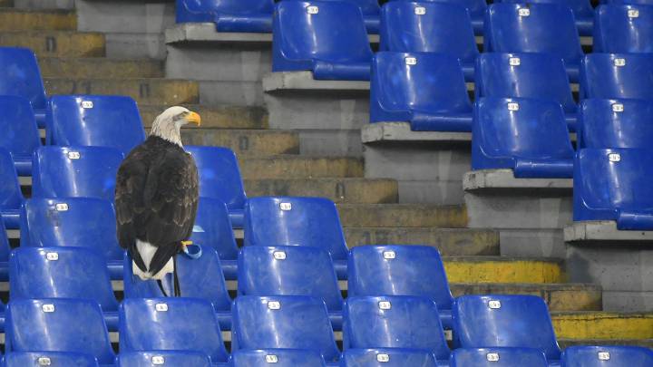 El águila de la Lazio se para en la grada de la Roma — All Football App