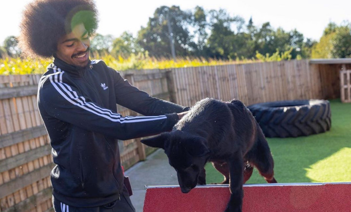 Grealish Sterling Noble Among Prem Stars Protected By 25k Guard Dogs All Football