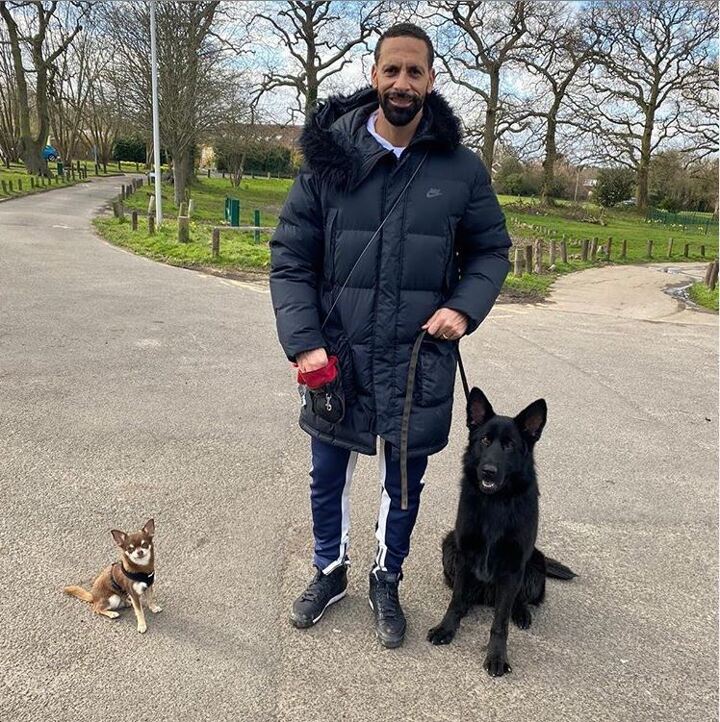 Grealish Sterling Noble Among Prem Stars Protected By 25k Guard Dogs All Football
