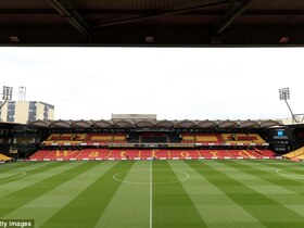 Welwyn Garden City 'extremely sad, disappointed and angry' after Watford cancel friendly