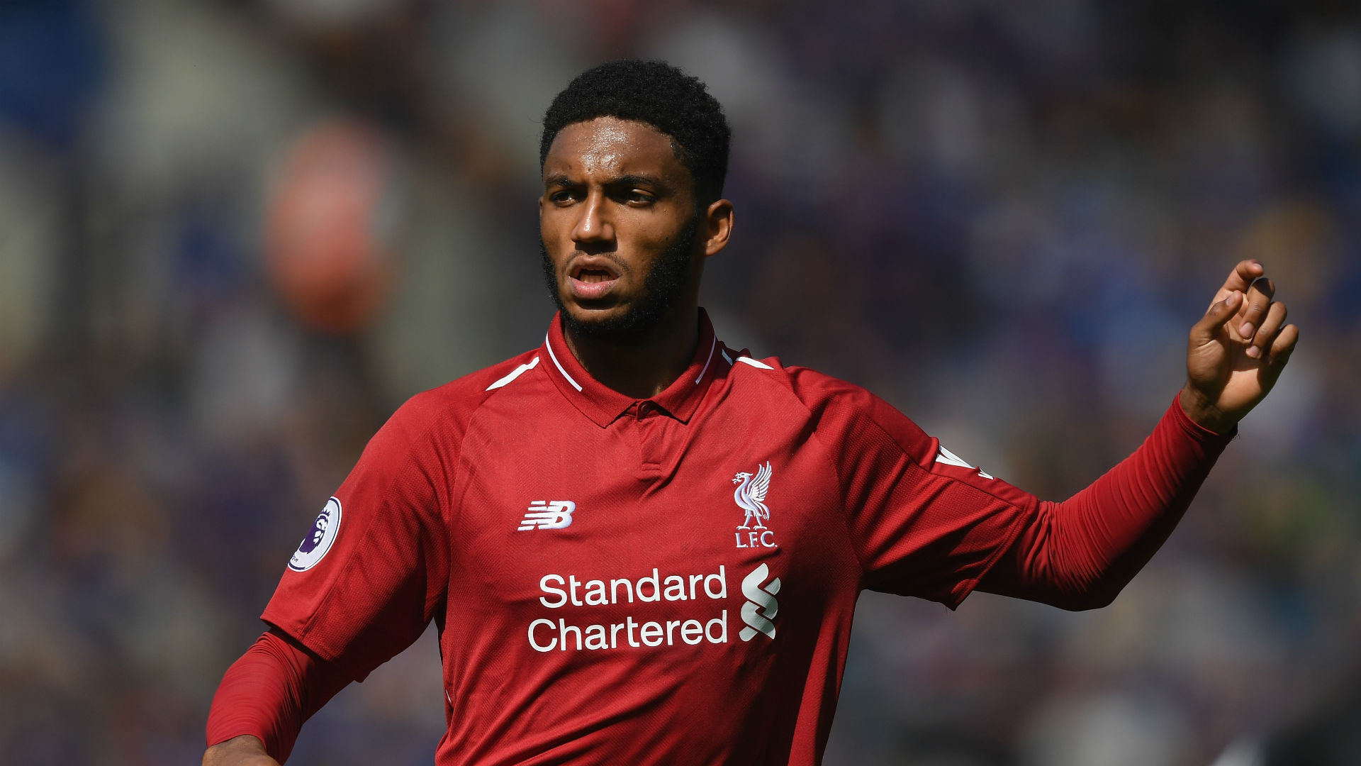 gomez: liverpool cant afford to lose in ridiculous premier