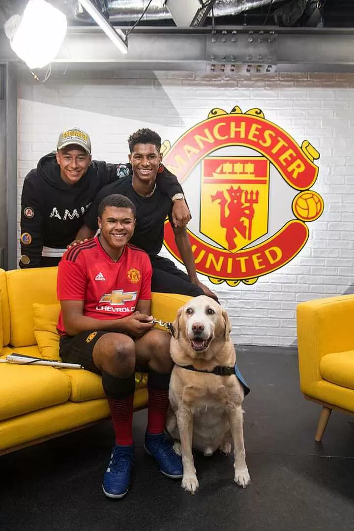 Man united dog shirt online