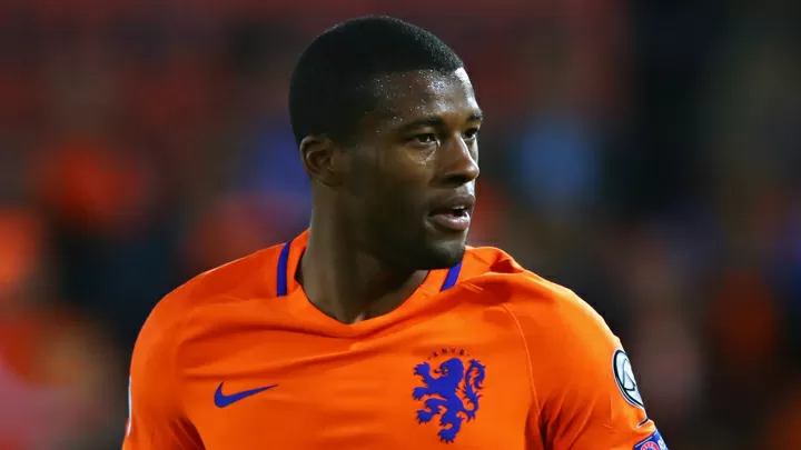 wijnaldum netherlands jersey