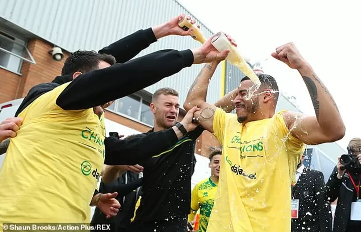 Norwich city training top discount