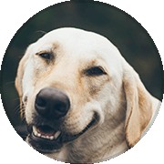 ManjuSri