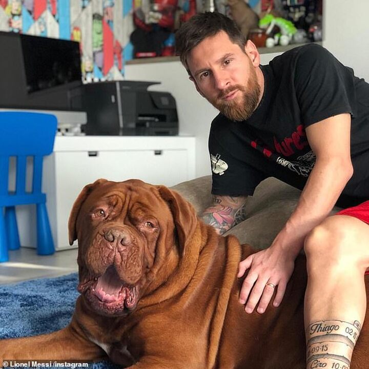 Lionel Messi shares a cuddle with dog Hulk and sons Thiago and Mateo| All  Football