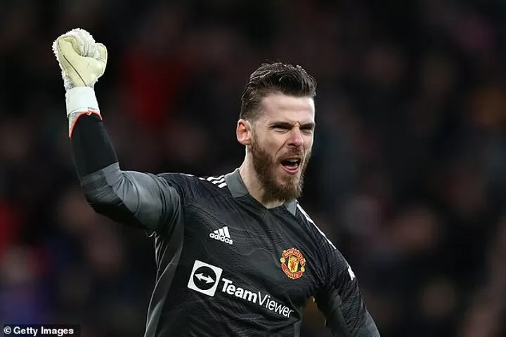 De gea adidas store