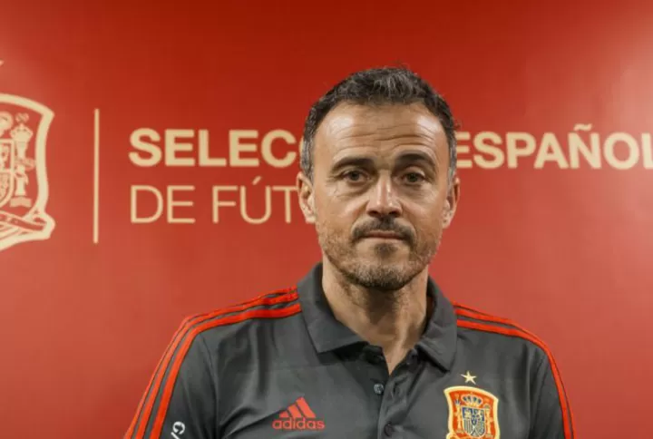 Spain coach Luis Enrique steps down for personal reasons, Robert