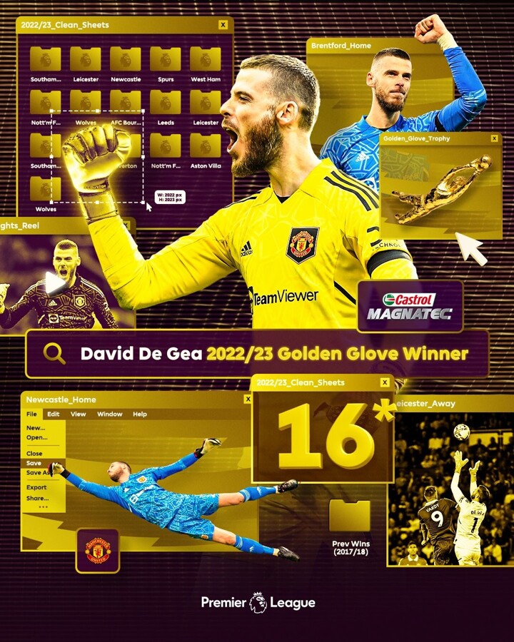 Epl discount golden glove