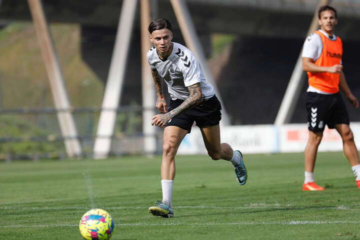 Joel dominguez las palmas