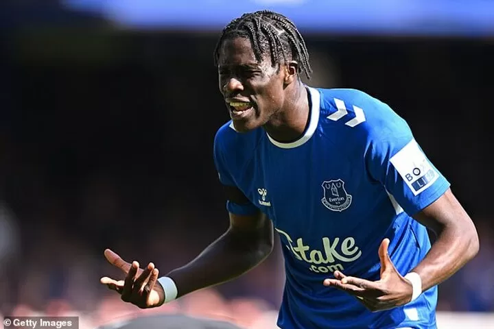 One Onana... why not two? Chelsea plan to replace N'Golo Kante 'with  Everton star Amadou Onana'| All Football
