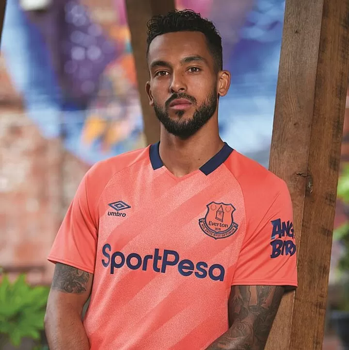 Everton 3rd top kit 2019