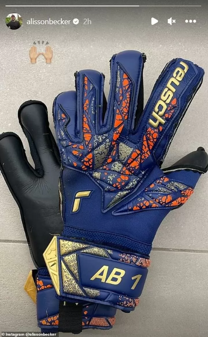 Allison clearance goalie gloves