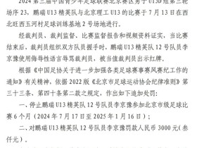 北京市足协：U13球员李京豫因辱骂裁判被禁赛6个月+罚款3000元