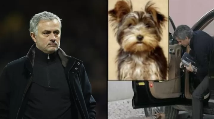 Mourinho Reveals His Dog Died On A Heartbroken Christmas Day All Football