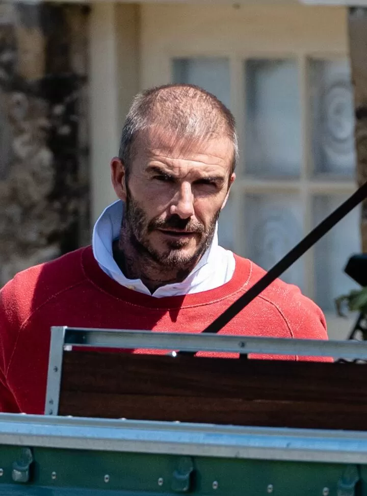 david beckham hair loss