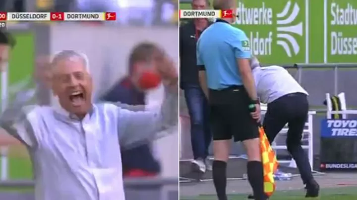 Favre Injuries Himself While Celebrating Haaland S Winner All Football