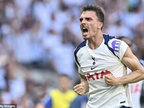 Newcastle add Palhinha to transfer shortlist as move for Marseille's Pierre-Emile Hojbjerg ramps up