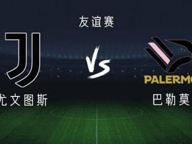 尤文vs巴勒莫：伊尔迪兹、穆阿尼出战，孔塞桑、麦肯尼首发