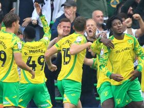 Norwich 4-1 Burnley: Mohamed Toure and Andre Brooks both net twice in romp
