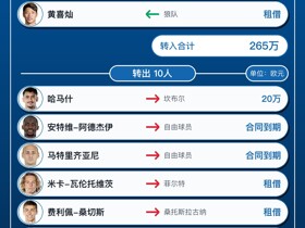 沙尔克04今夏转会汇总：引进7人离队10人，净支出245万欧元