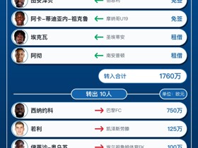 欧塞尔今夏转会总结：引入魏祥鑫等12人，净支出785万欧元排法甲第二