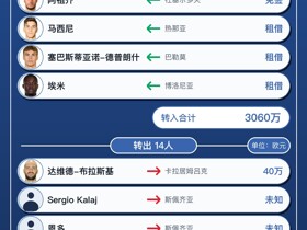 弗罗西诺内转会汇总：引进16人离队14人，净支出3020万欧元