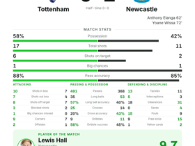 Tottenham 0-2 Newcastle
