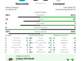 Newcastle 2-2 Liverpool