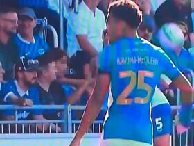 Police launch investigation into Cardiff City's ex-Arsenal star 'grabbing young fan by the throat'