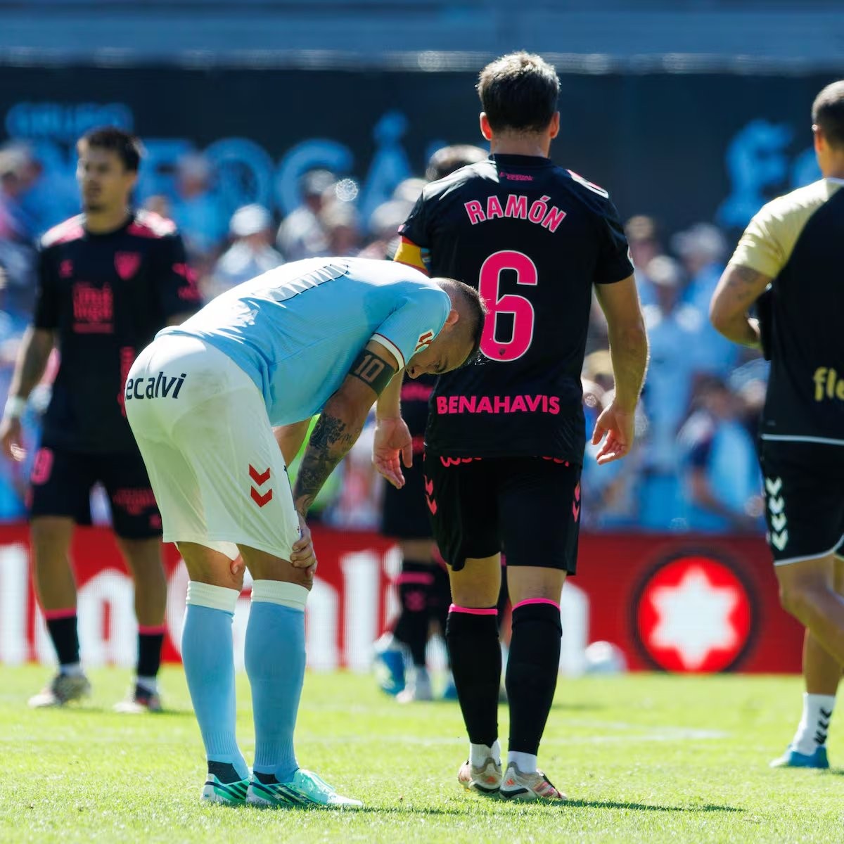 Aspas se rompe