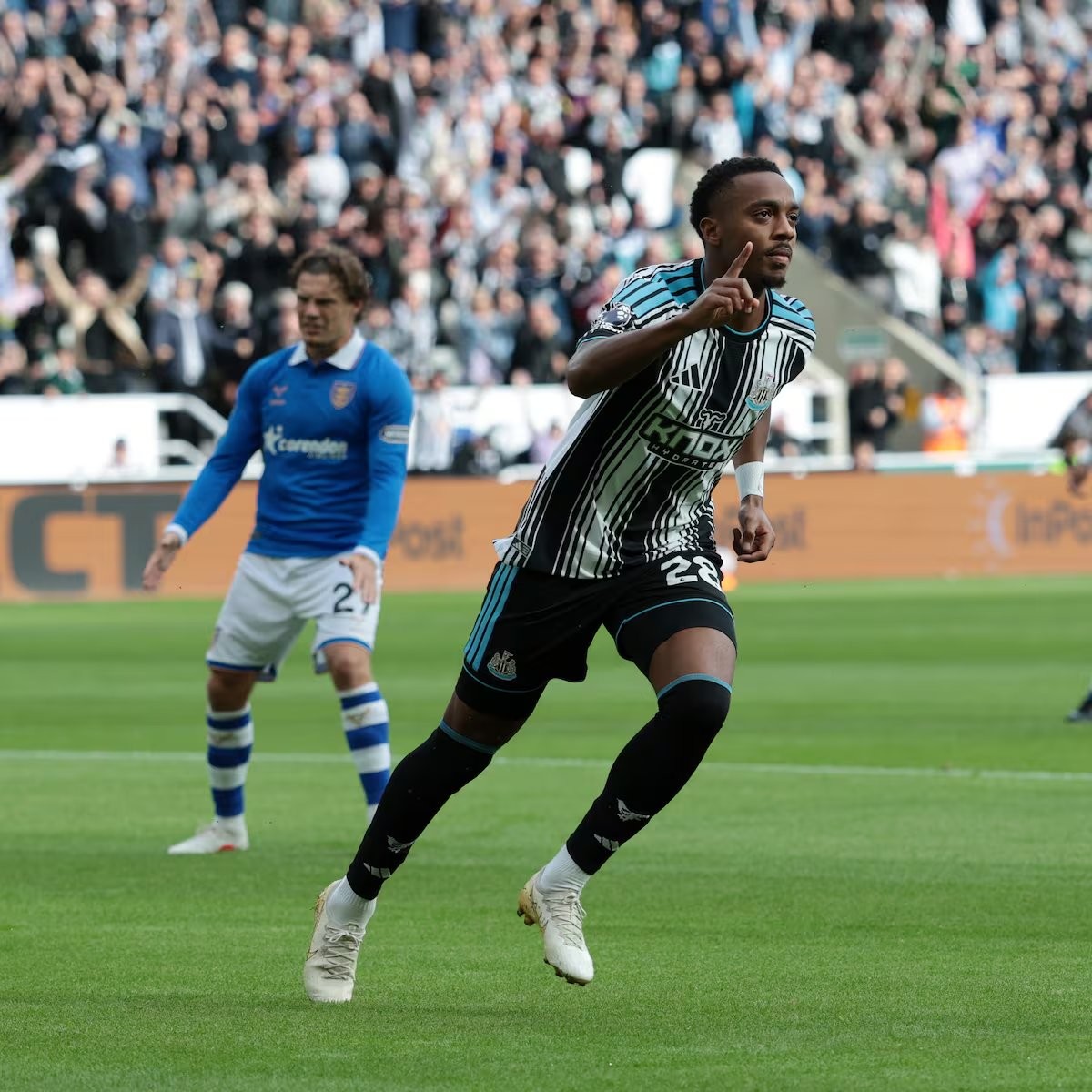 Resumen y goles del Newcastle vs Hull City, jornada 5 de Premier League