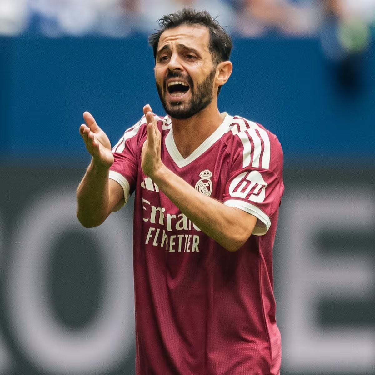 Miradas a Bernardo Silva
