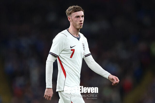 Expert: I Question Palmer's Professionalism—Does He Really Want to Play for England?