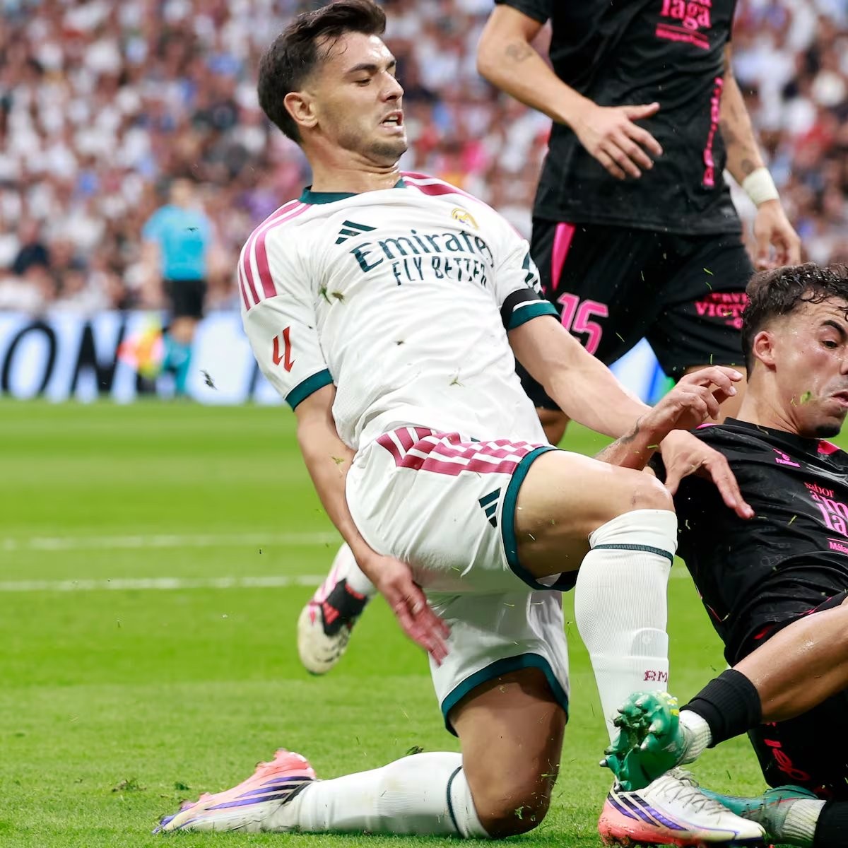 El sacrificio de Brahim