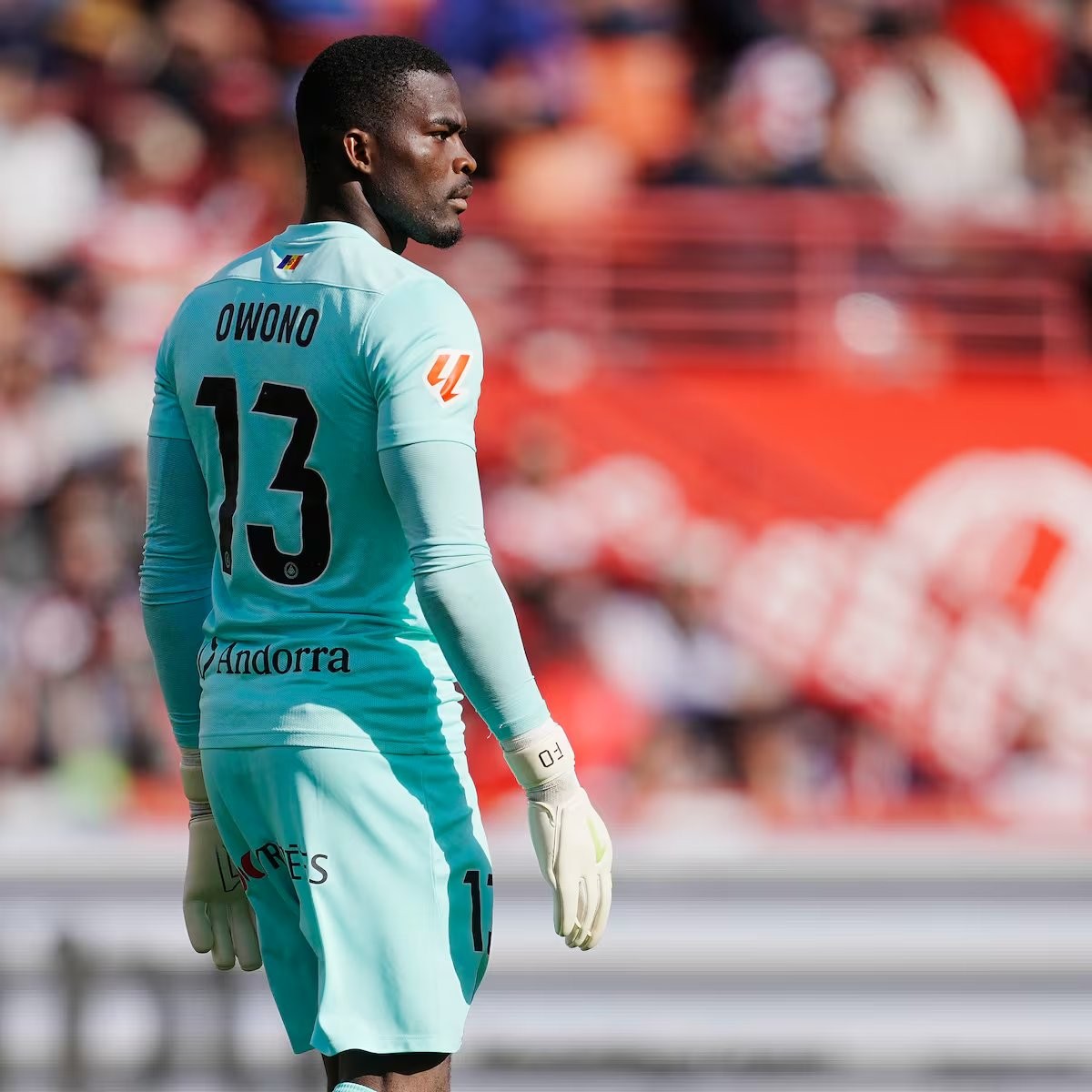 Owono y Schneider se marchan con sus selecciones