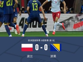波兰0-0波黑，波黑进球无效，双方破门乏术