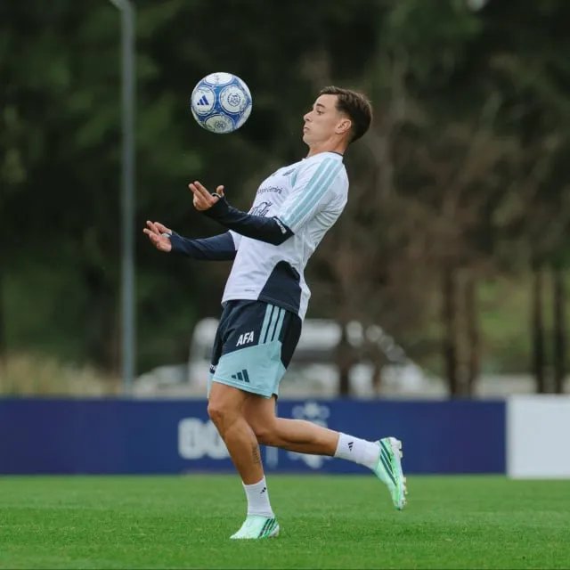 TyC: Scaloni planea que Lautaro y "Araña" Álvarez sean titulares juntos
