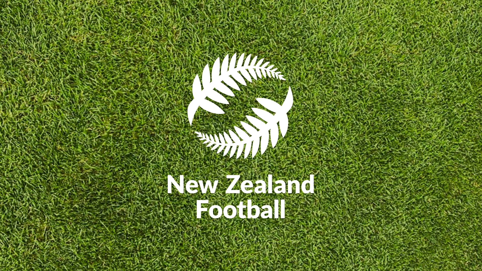 Federcalcio della Nuova Zelanda: il calcio genera 808 milioni di dollari neozelandesi all'anno con un rapporto costi-benefici di 1:2,1