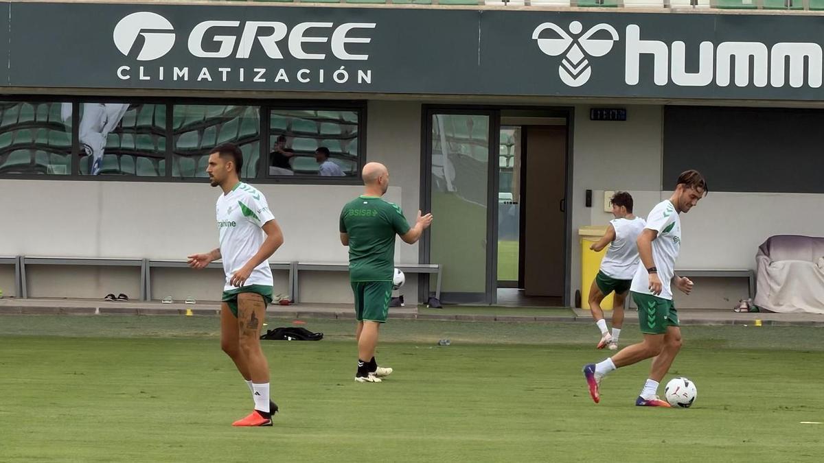 Ceballos kehrt ins Training zurück und könnte gegen Ceuta für Real Betis starten