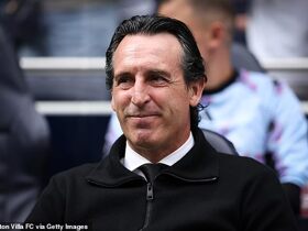 Unai Emery claims many other clubs inflated budgets as first PL boss to react to Man City verdict