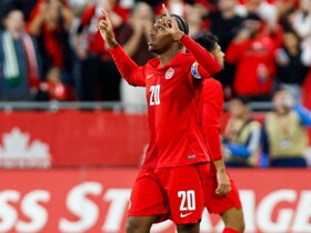 David enjoying 'breath of fresh air' since joining Atletico