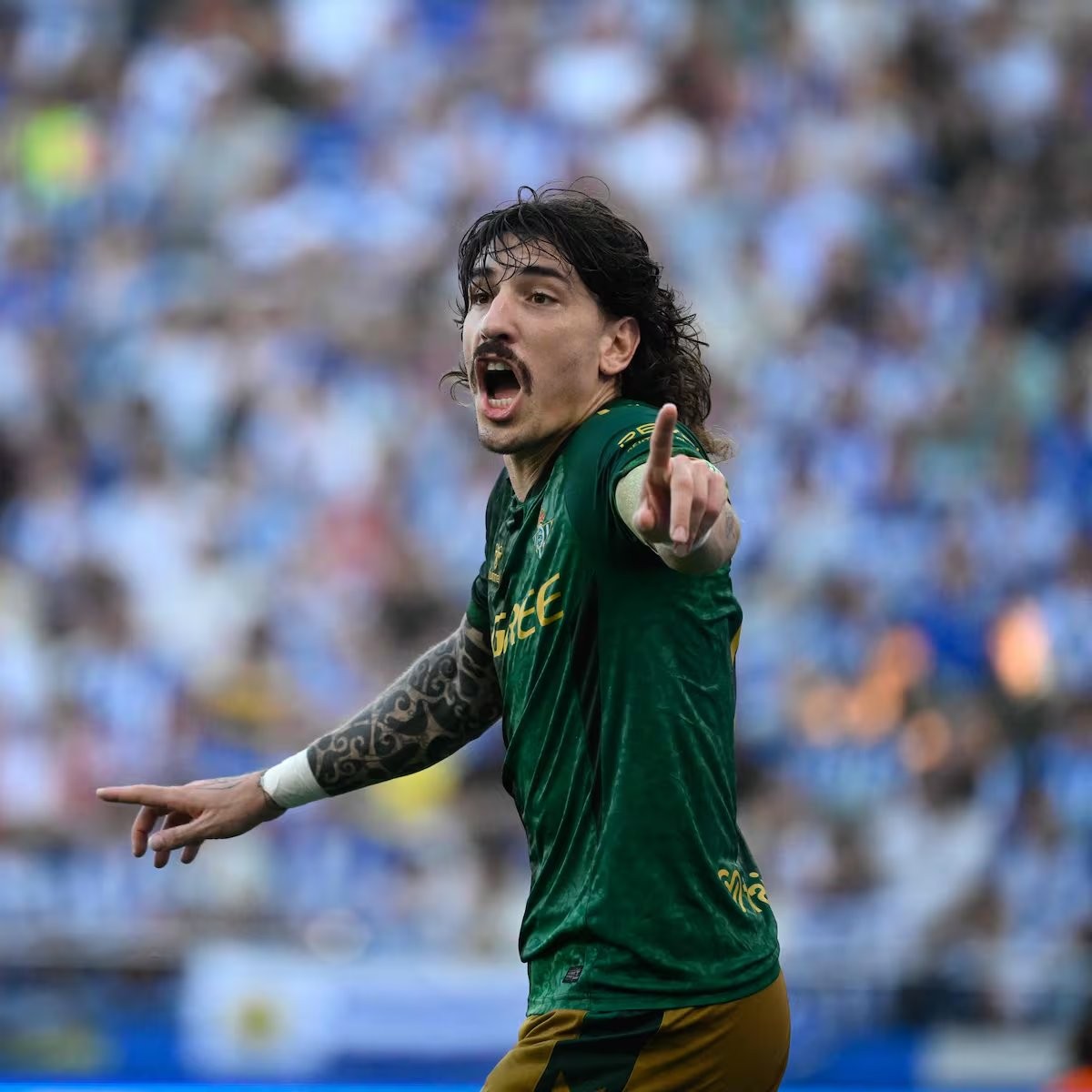 Bellerín: Renovación a la vista