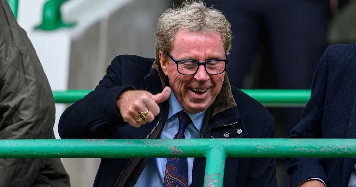 Redknapp: Tottenham owner interfered in my decisions; I still believe Tottenham will finish in the top six