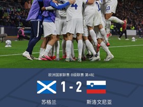 苏格兰1-2遭斯洛文尼亚逆转，马特科、施图尔姆相互传射