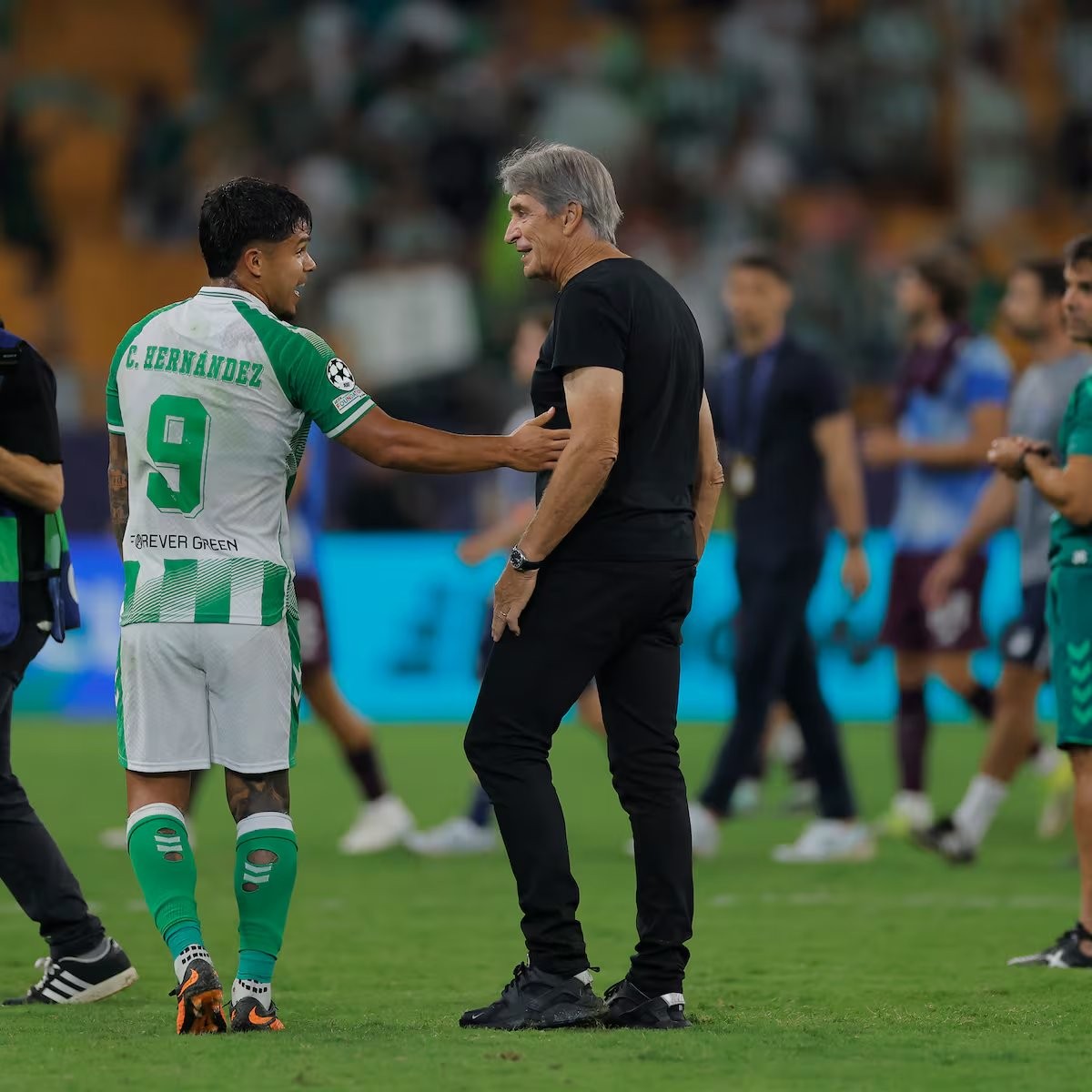El año casi perfecto de Pellegrini